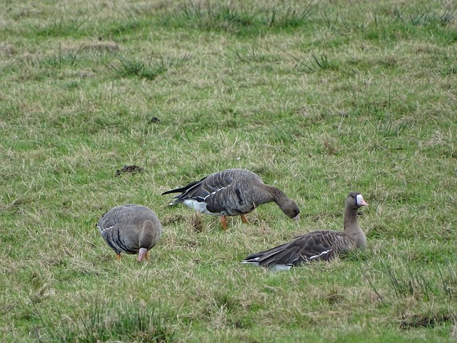 在过去几个 在过去几个
